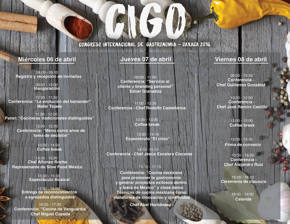 Programa CIGO