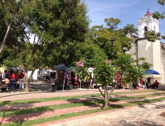 El Pochote, aristas de un conflicto en Xochimilco