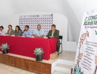 Ciidir Oaxaca anuncia Primer Congreso Nacional de Agave-Mezcal