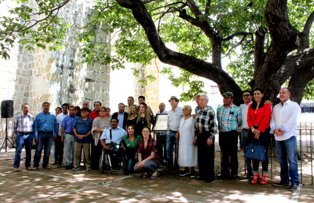 Árboles de coquito de Jalatlaco, patrimonio vivo de la humanidad | Sucedió en Oaxaca Árboles de coquito de Jalatlaco, patrimonio vivo de la humanidad | Sucedió en Oaxaca