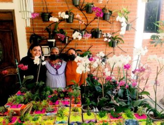 ¡Oaxaca ya tiene Refugio de Orquídeas!