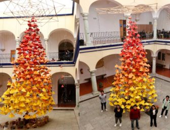 Visita el árbol navideño ecológico de Arquitectura 5 de Mayo-UABJO